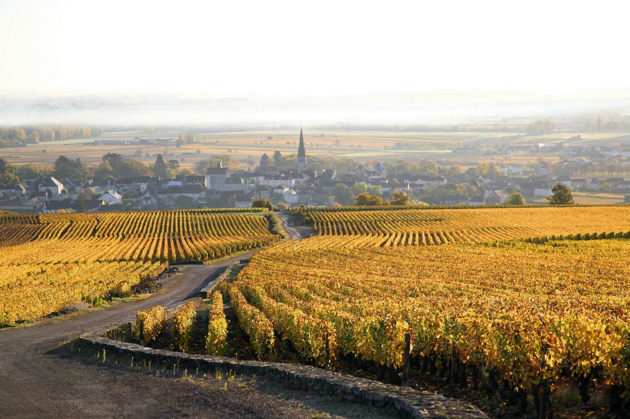 Clos Saint Jacques - Maison D'Hotes Meursault Buitenkant foto